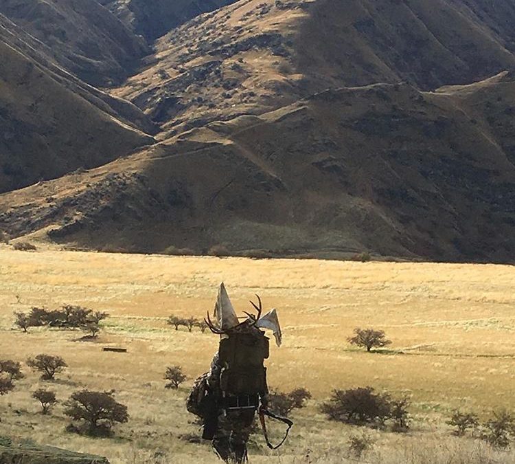 Hunting Hells Canyon